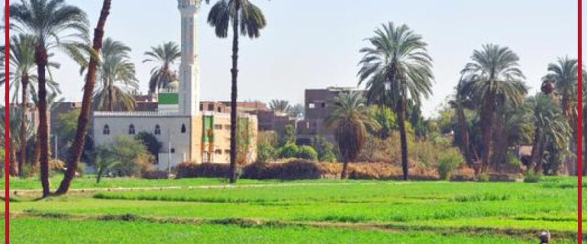 من قلب القرى.. "أيادي مصرية" تصنع أجنحة للحلم